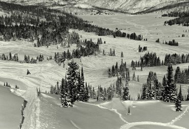 Sledneck Paradise, USA